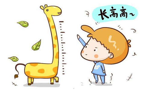 骨密度測量儀廠家：骨密度可以通過什么補(bǔ)充
